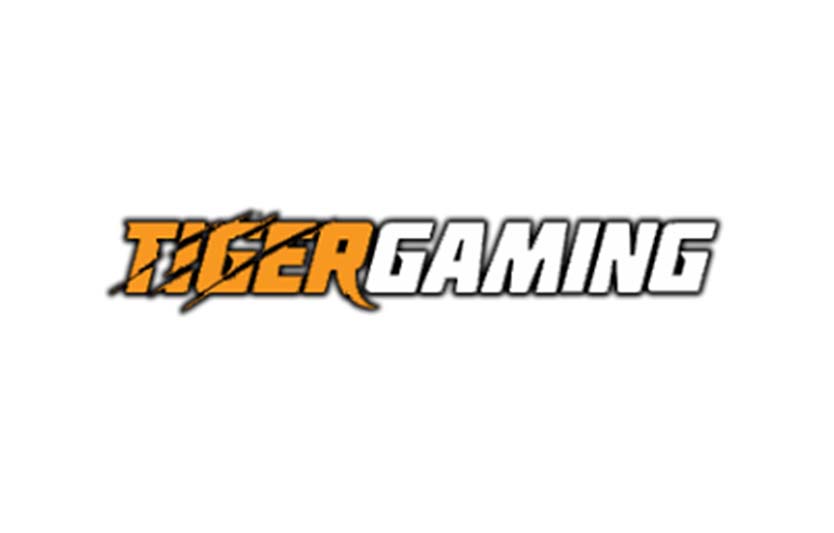 Обзор казино Tiger Gaming